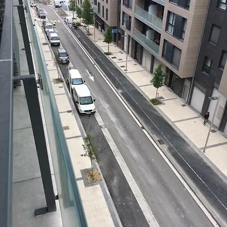 Goxue San Sebastián